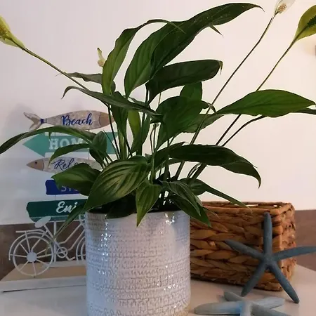 Lilla Apartman