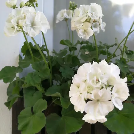 Lilla Balatonudvari